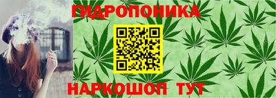 сатива Бугуруслан