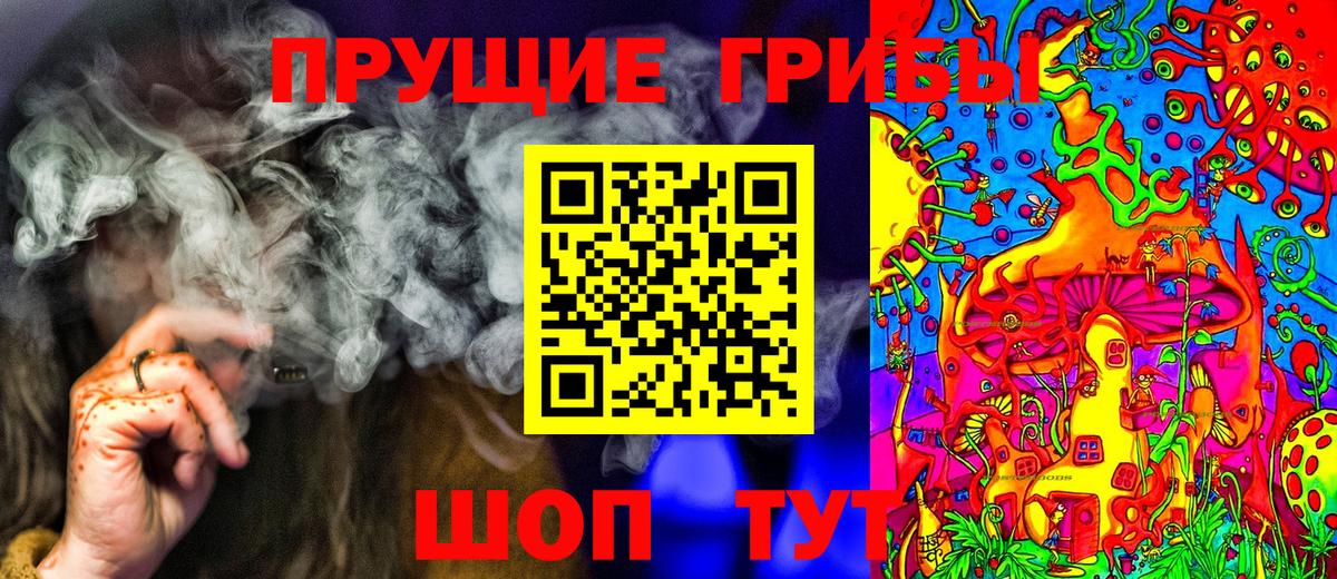 Псилоцибиновые грибы Psilocybine cubensis  купить  сайты  Благодарный  Вход с VPN 